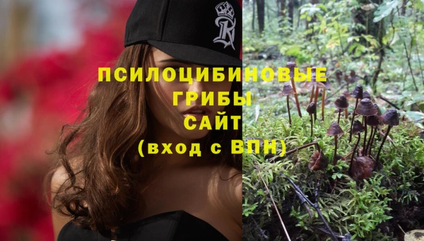 эйфоретик Горняк