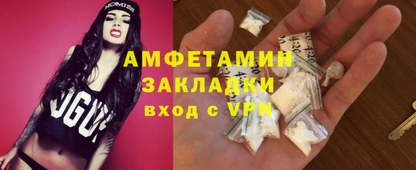 гидра Горно-Алтайск