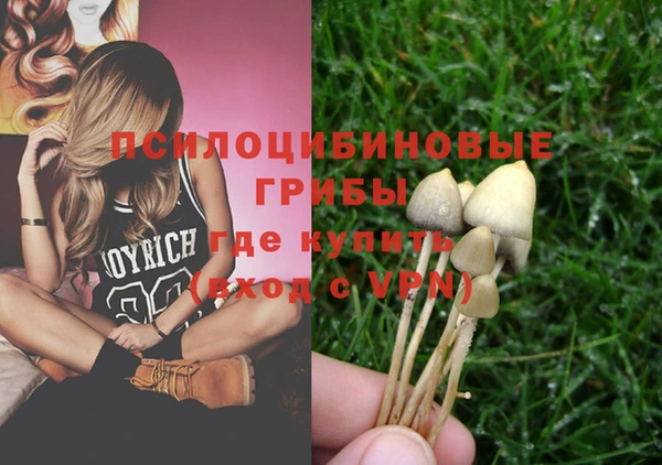 крисы Горнозаводск