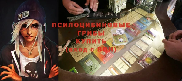 крисы Горнозаводск