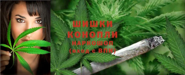гидра Горно-Алтайск