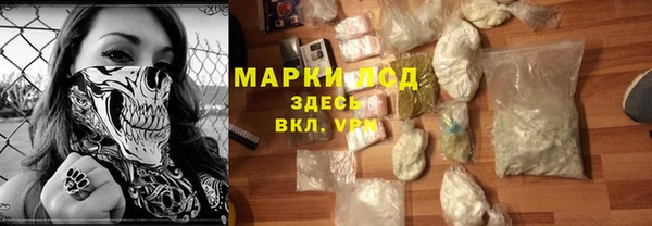 гидра Горно-Алтайск