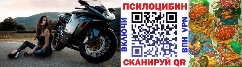 Галлюциногенные грибы Cubensis Полярные Зори